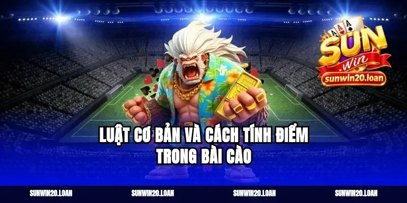 Luật Cơ Bản Và Cách Tính Điểm Trong Bài Cào