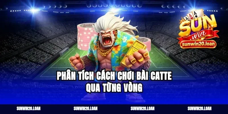 Phân tích cách chơi bài catte qua từng vòng