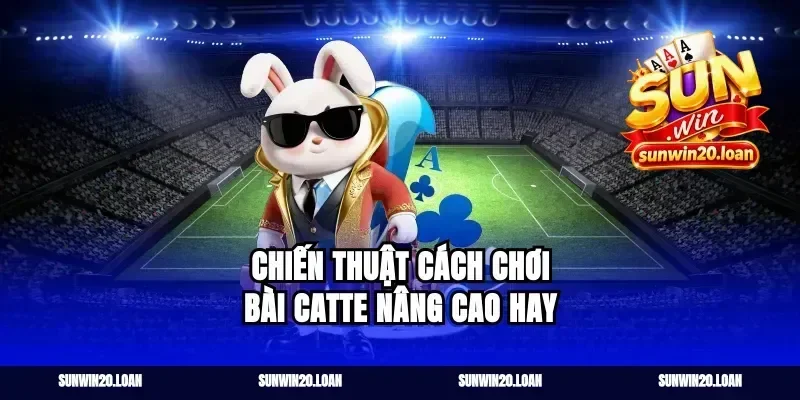 Chiến thuật cách chơi bài catte nâng cao hay