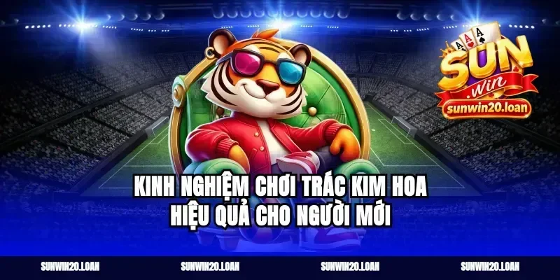 Kinh nghiệm chơi trác kim hoa hiệu quả cho người mới