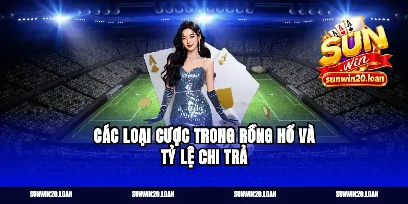 Các loại cược trong Rồng Hổ và tỷ lệ chi trả