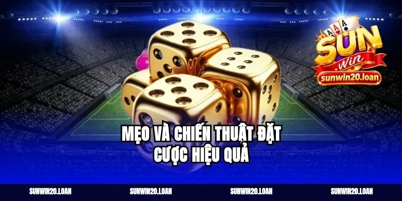 Mẹo và chiến thuật đặt cược hiệu quả