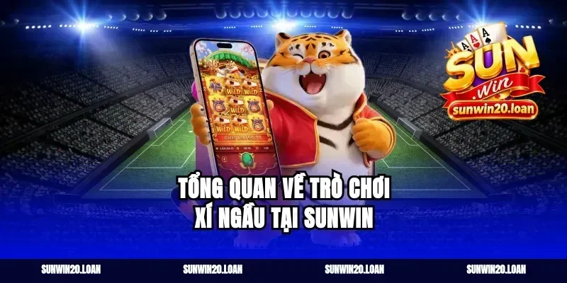 Tổng Quan Về Trò Chơi Xí Ngầu Tại Sunwin