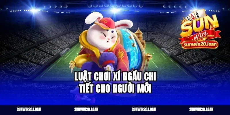 Luật Chơi Xí Ngầu Chi Tiết Cho Người Mới