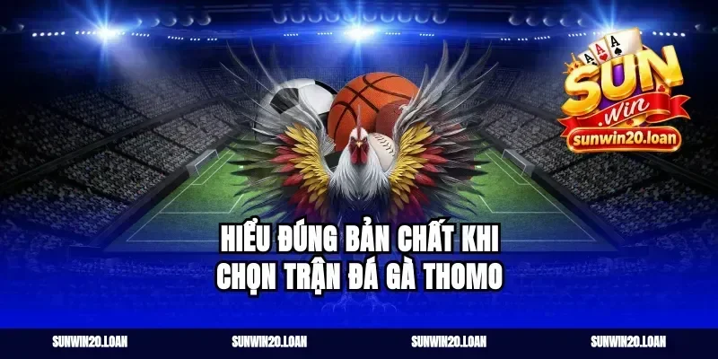 Hiểu đúng bản chất khi chọn trận đá gà thomo