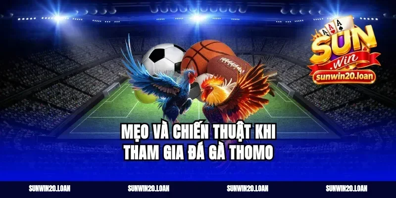 Mẹo và chiến thuật khi tham gia đá gà thomo