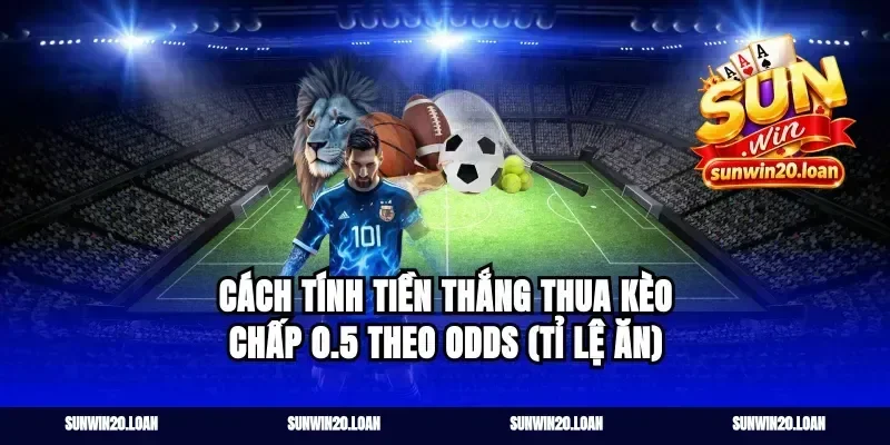 Cách tính tiền thắng thua kèo chấp 0.5 theo odds (tỉ lệ ăn)