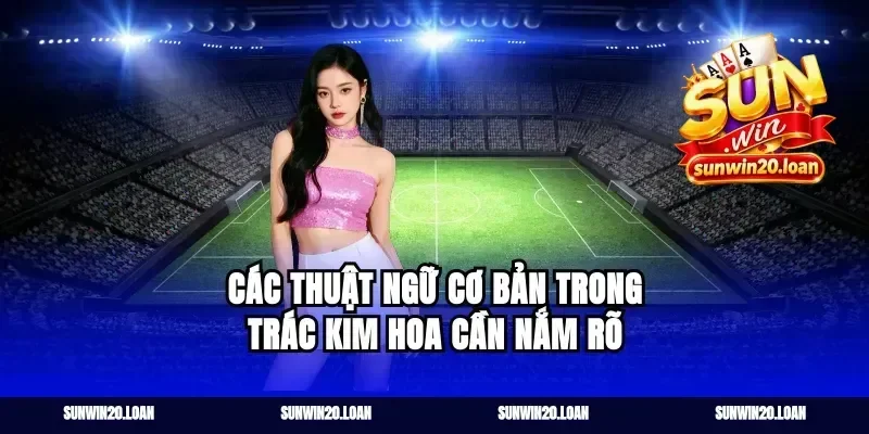 Các Thuật Ngữ Cơ Bản Trong Trác Kim Hoa Cần Nắm Rõ