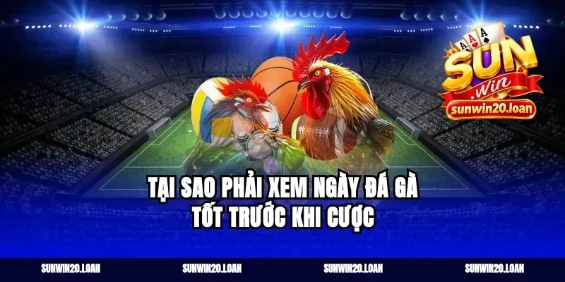 Tại Sao Phải Xem Ngày Đá Gà Tốt Trước Khi Cược