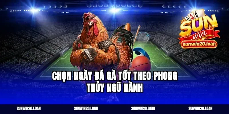 Chọn Ngày Đá Gà Tốt Theo Phong Thủy Ngũ Hành