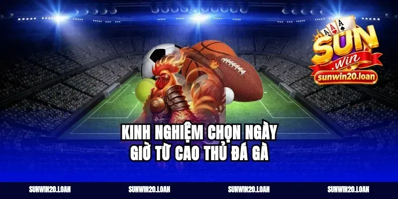 Kinh Nghiệm Chọn Ngày Giờ Từ Cao Thủ Đá Gà